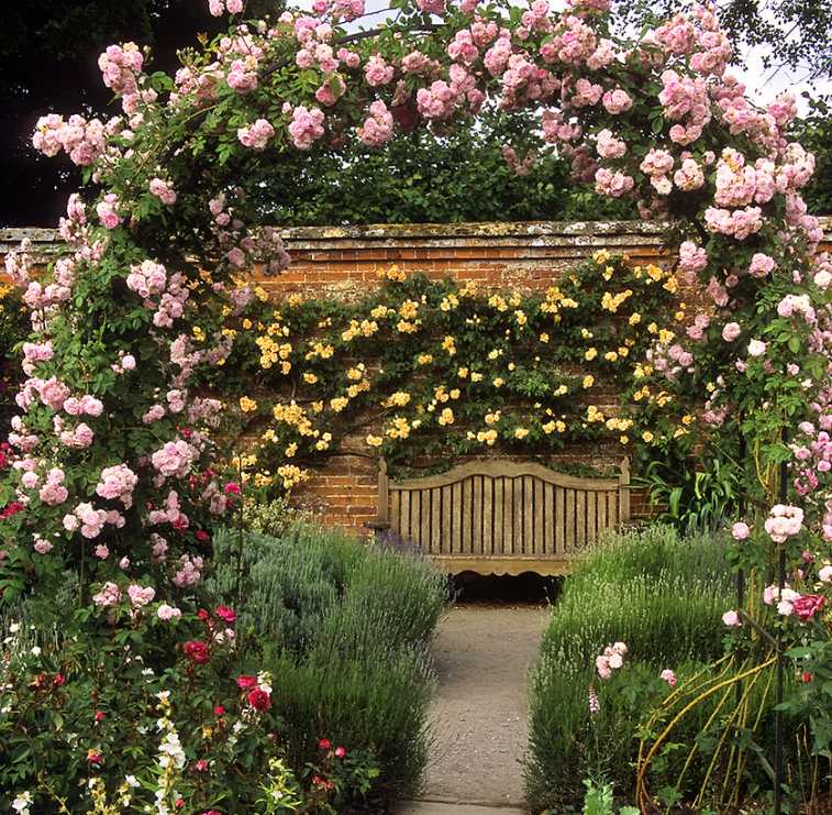 Popínavé růže umí půvabně zkrášlit vchod do zahrady, flickr.com